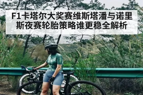 F1卡塔尔大奖赛维斯塔潘与诺里斯夜赛轮胎策略谁更稳全解析